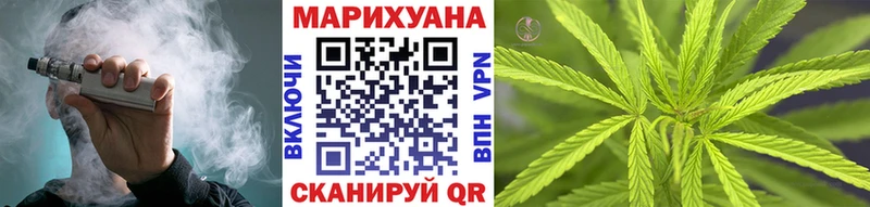 где продают наркотики Приозерск МАРИХУАНА сатива